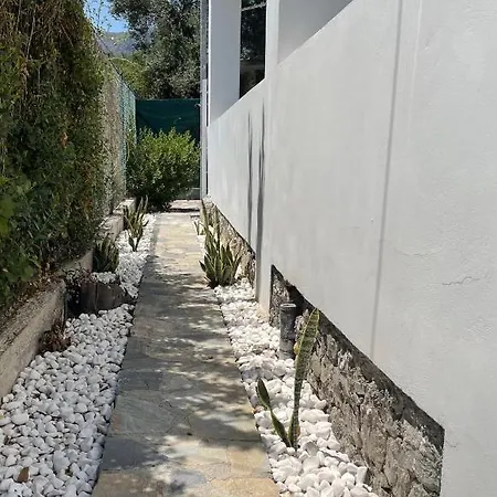 Pera Casa 헐소니소스